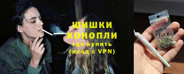 прущие грибы Балабаново