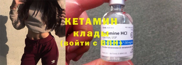 прущие грибы Балабаново