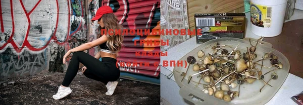 гидропоника Баксан