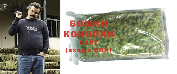 прущие грибы Балабаново