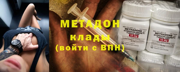 прущие грибы Балабаново