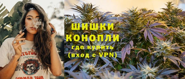прущие грибы Балабаново